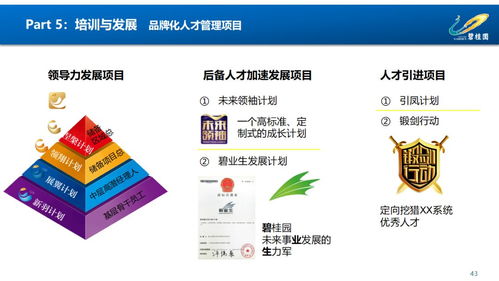 賦能組織，驅(qū)動(dòng)未來(lái) 鳳廠人力資源管理體系構(gòu)建與優(yōu)化